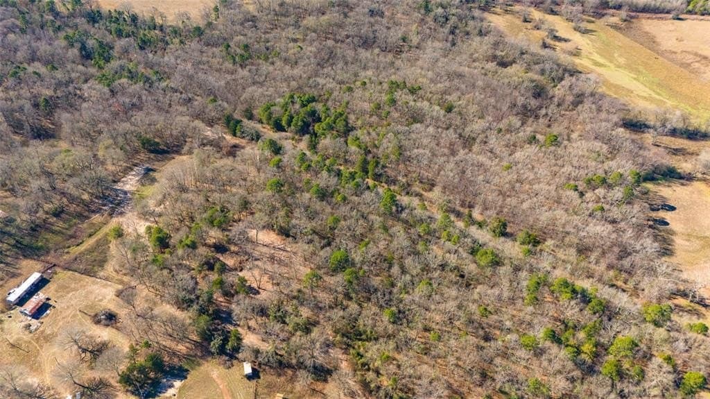 20.71 acres in Wood County - photo 22
