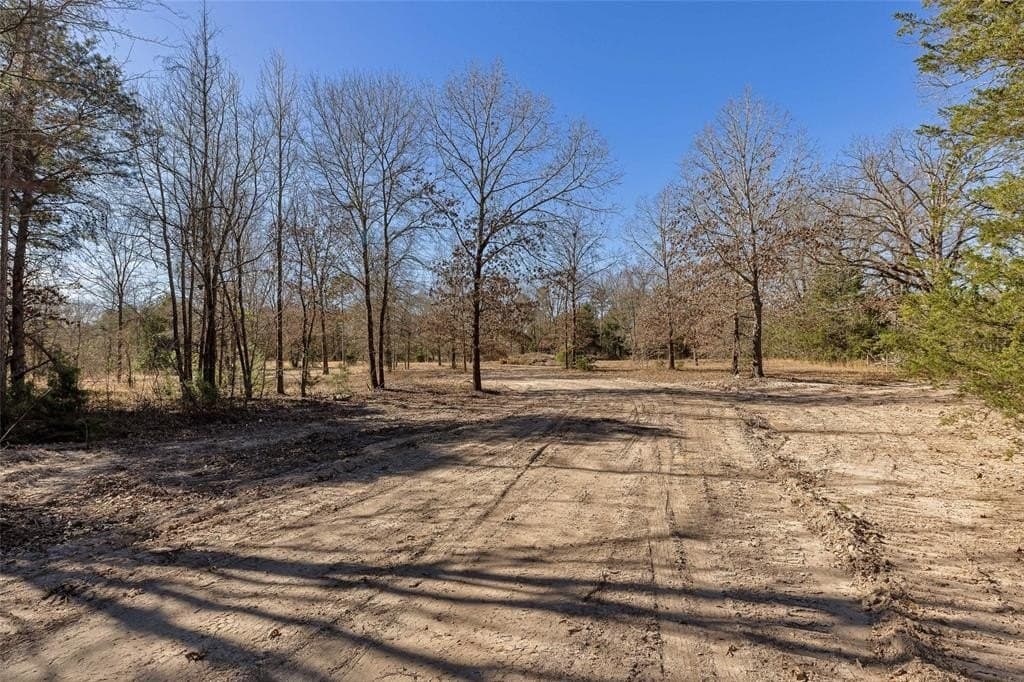 20.71 acres in Wood County - photo 4