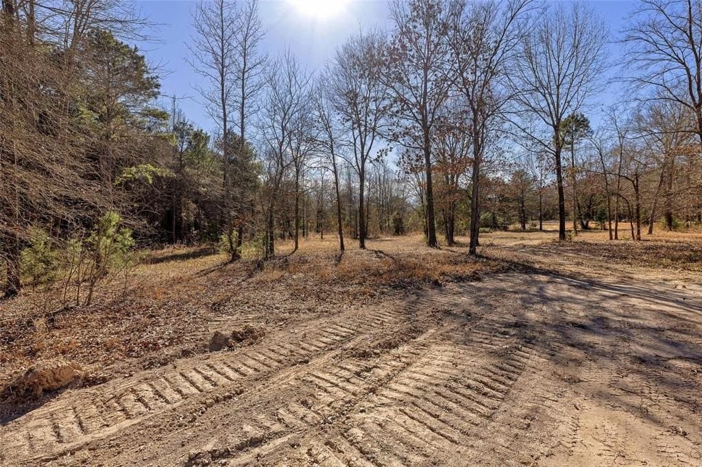 20.71 acres in Wood County - photo 5