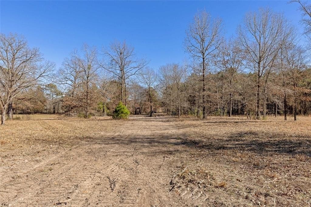 20.71 acres in Wood County - photo 12