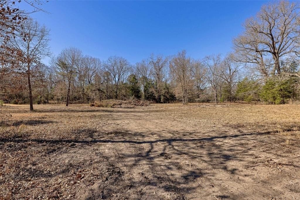 20.71 acres in Wood County - photo 6