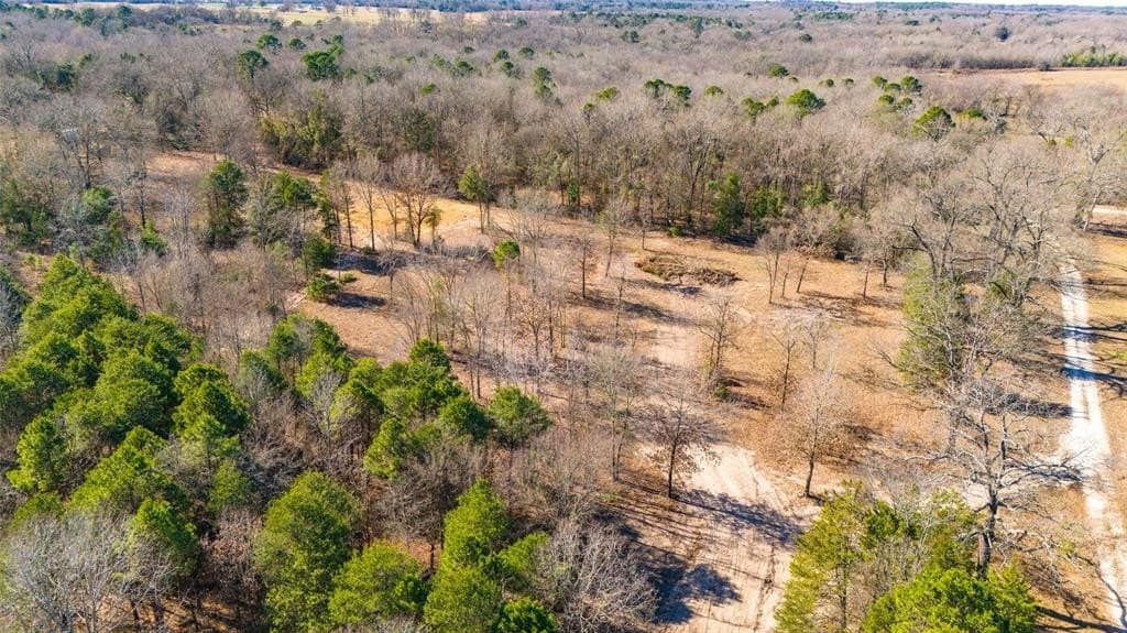 20.71 acres in Wood County - photo 13