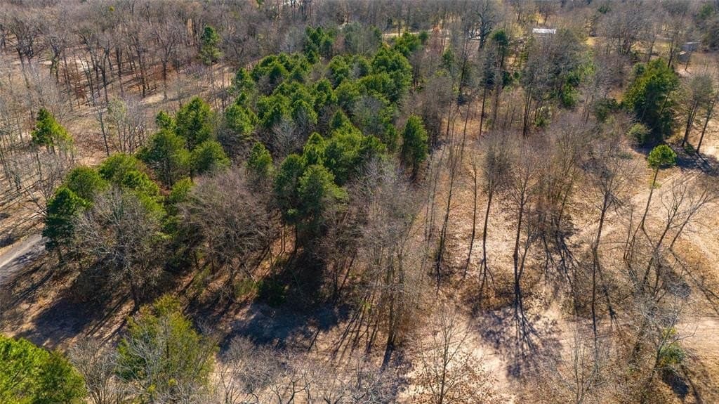 20.71 acres in Wood County - photo 20