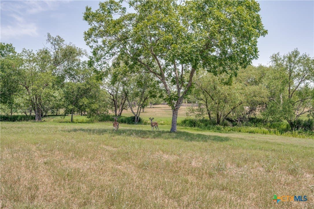 28.23 acres in Bexar County - photo 25