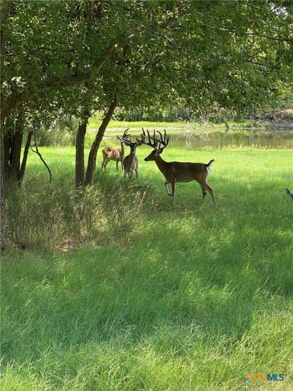 28.23 acres in Bexar County - photo 28