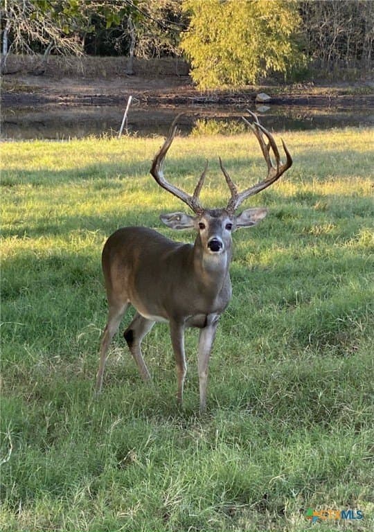 28.23 acres in Bexar County - photo 27