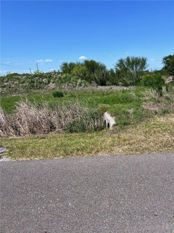 30 acres in Nueces County - photo 16