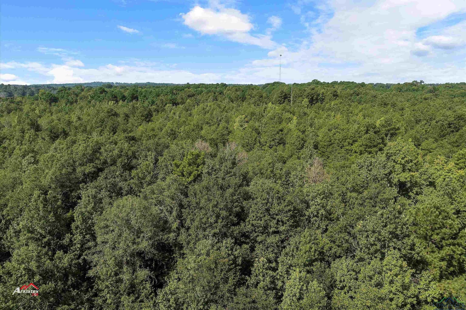 19.5 acres in Texas County - photo 7