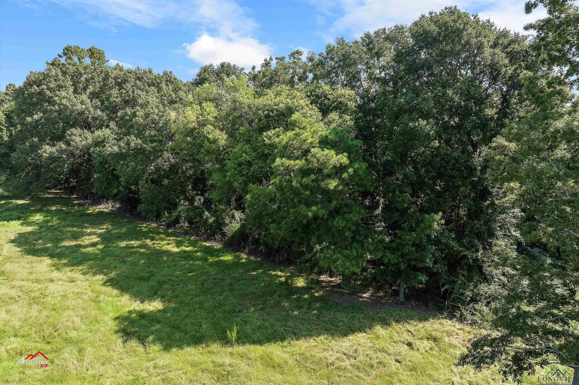 19.5 acres in Texas County - photo 8
