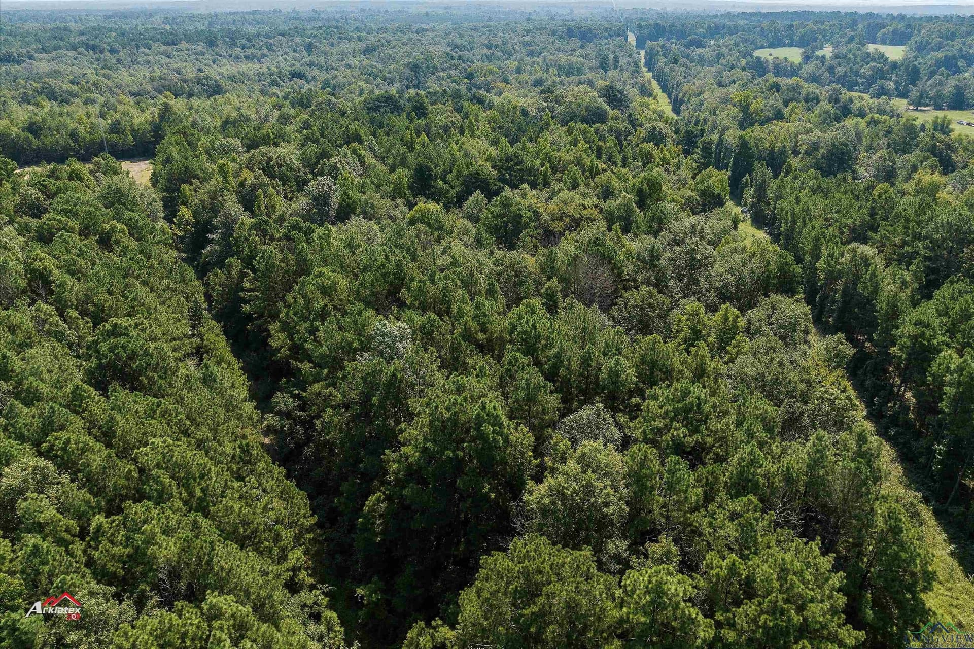 19.5 acres in Texas County - photo 4