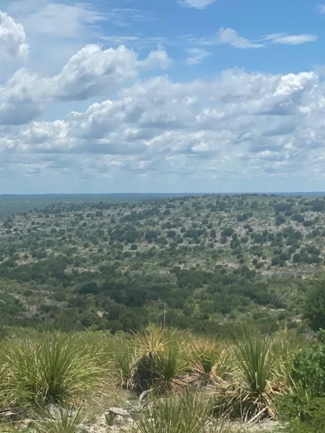 993.8 acres in Kinney County - photo 8