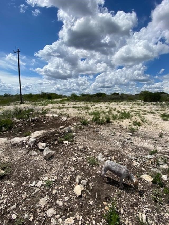 993.8 acres in Kinney County - photo 22