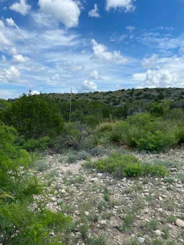 993.8 acres in Kinney County - photo 11