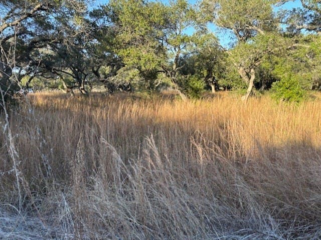 0 acres in Texas County - photo 2
