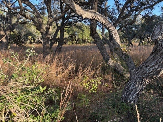 0 acres in Texas County - photo 3