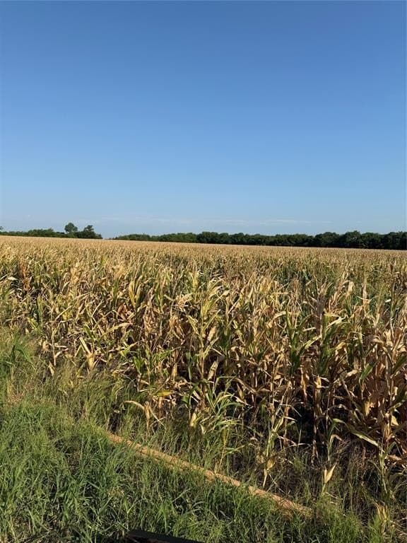 35.2 acres in Fannin County - photo 2