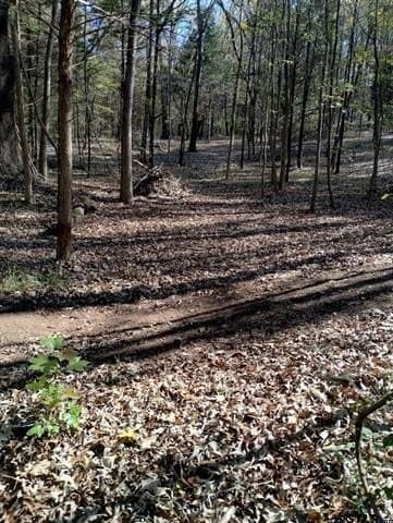 10 acres in Smith County - photo 9