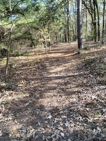 10 acres in Smith County - photo 16
