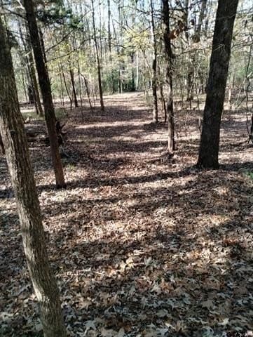 10 acres in Smith County - photo 11