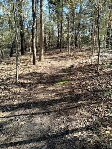 10 acres in Smith County - photo 19