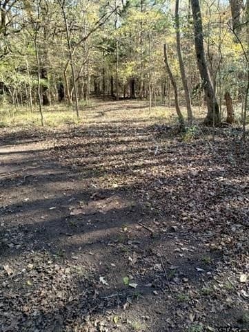 10 acres in Smith County - photo 12