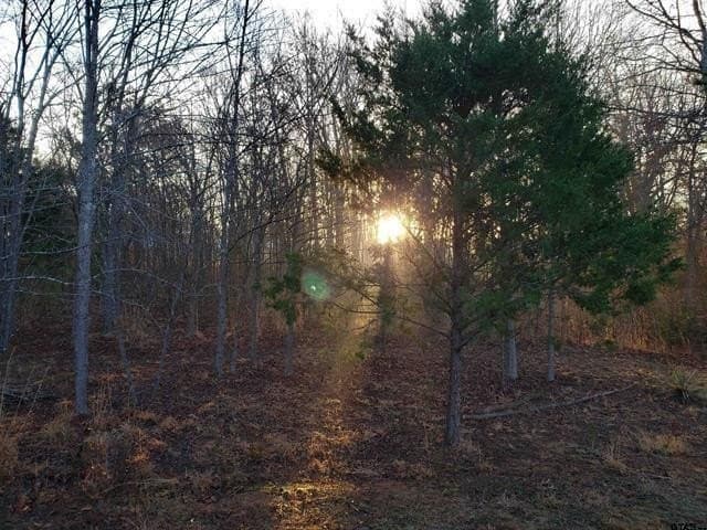 10 acres in Smith County - photo 3