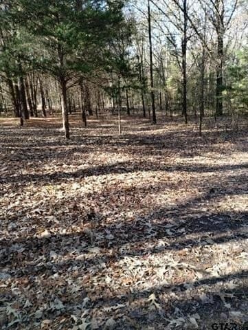 10 acres in Smith County - photo 15