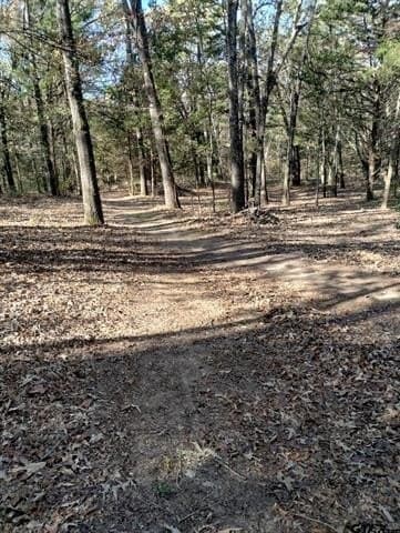10 acres in Smith County - photo 18