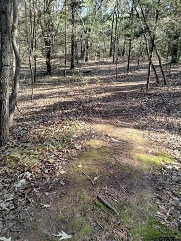 10 acres in Smith County - photo 14