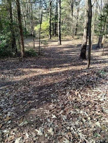 10 acres in Smith County - photo 13