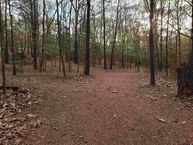 10 acres in Smith County - photo 8