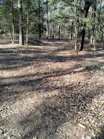 10 acres in Smith County - photo 17