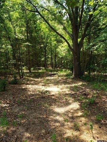 10 acres in Smith County - photo 7