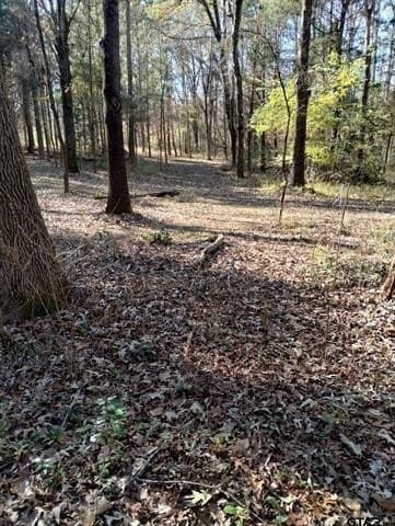 10 acres in Smith County - photo 10