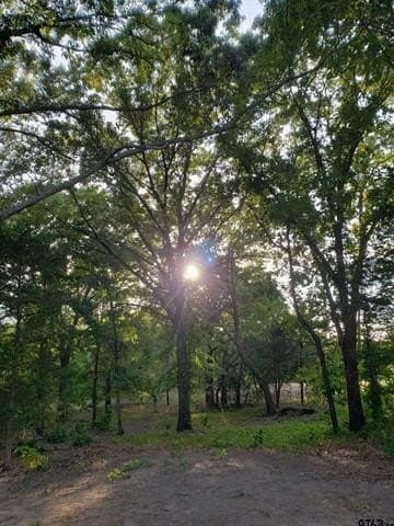 10 acres in Smith County - photo 6