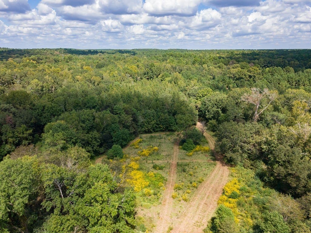 38.11 acres in Texas County - photo 35