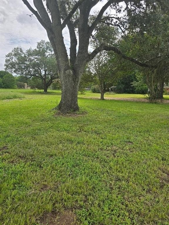 2.05 acres in Austin County - photo 5