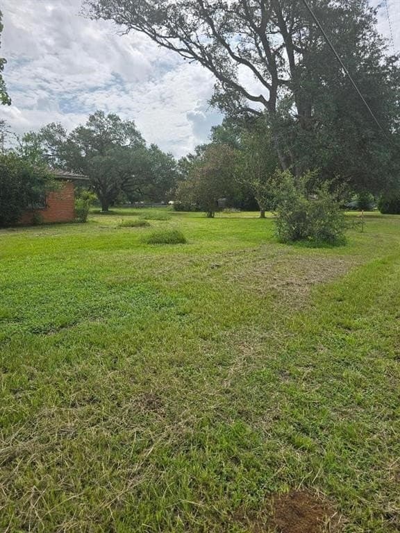 2.05 acres in Austin County - photo 3