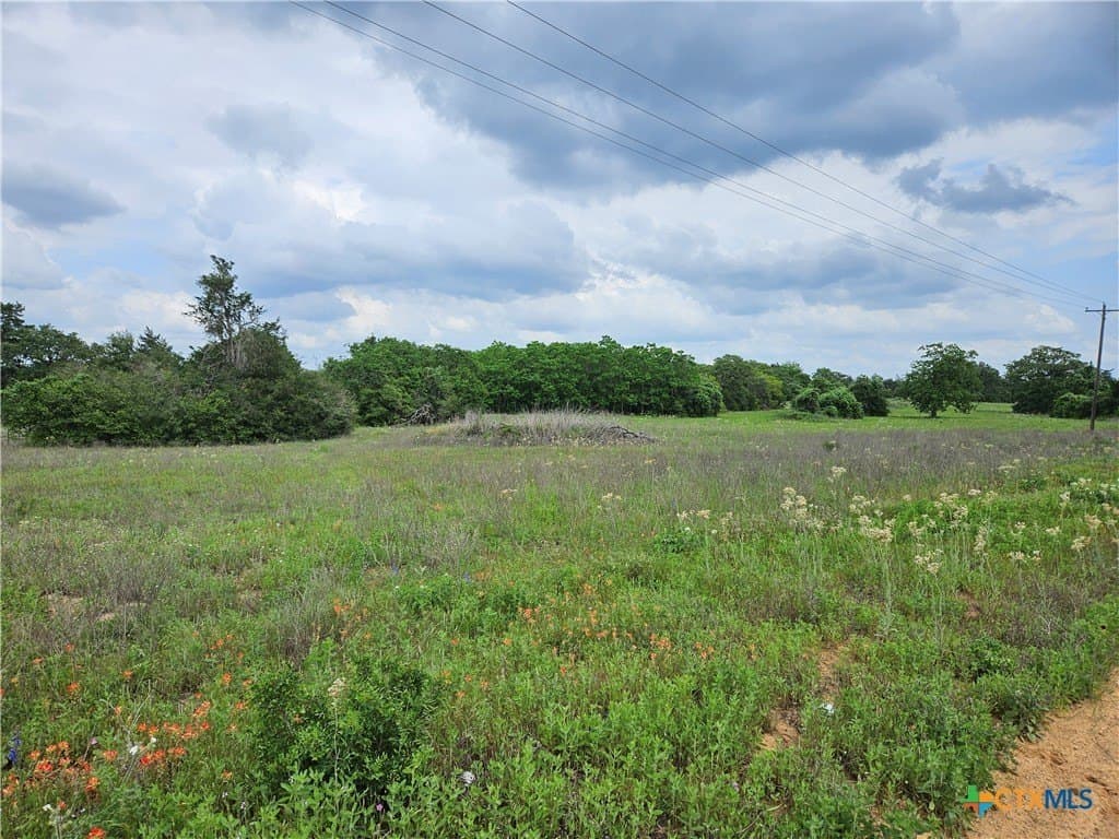 35 acres in Milam County - photo 2