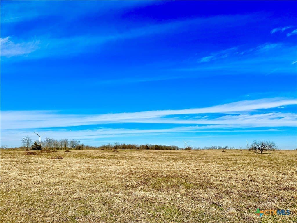 10 acres in Limestone County - photo 2