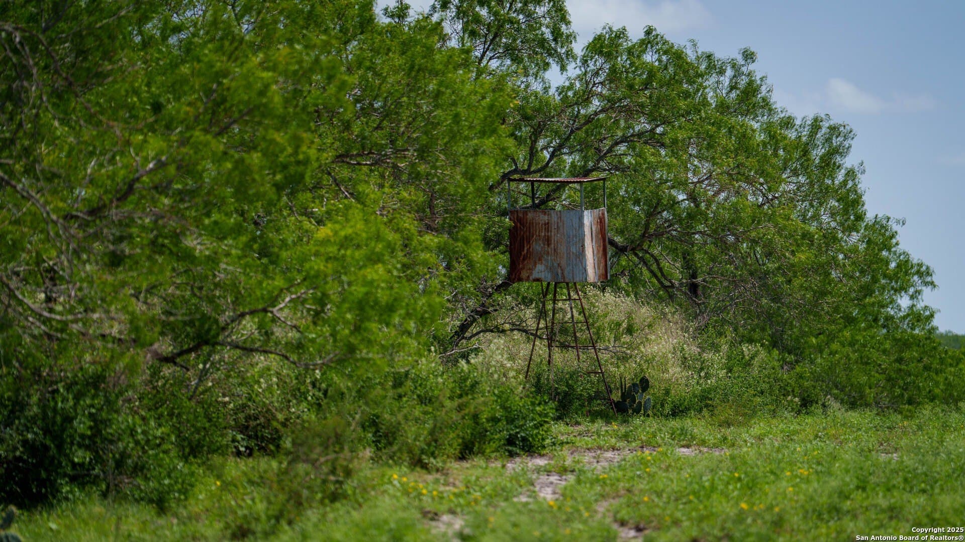 200.12 acres in Wilson County - photo 22