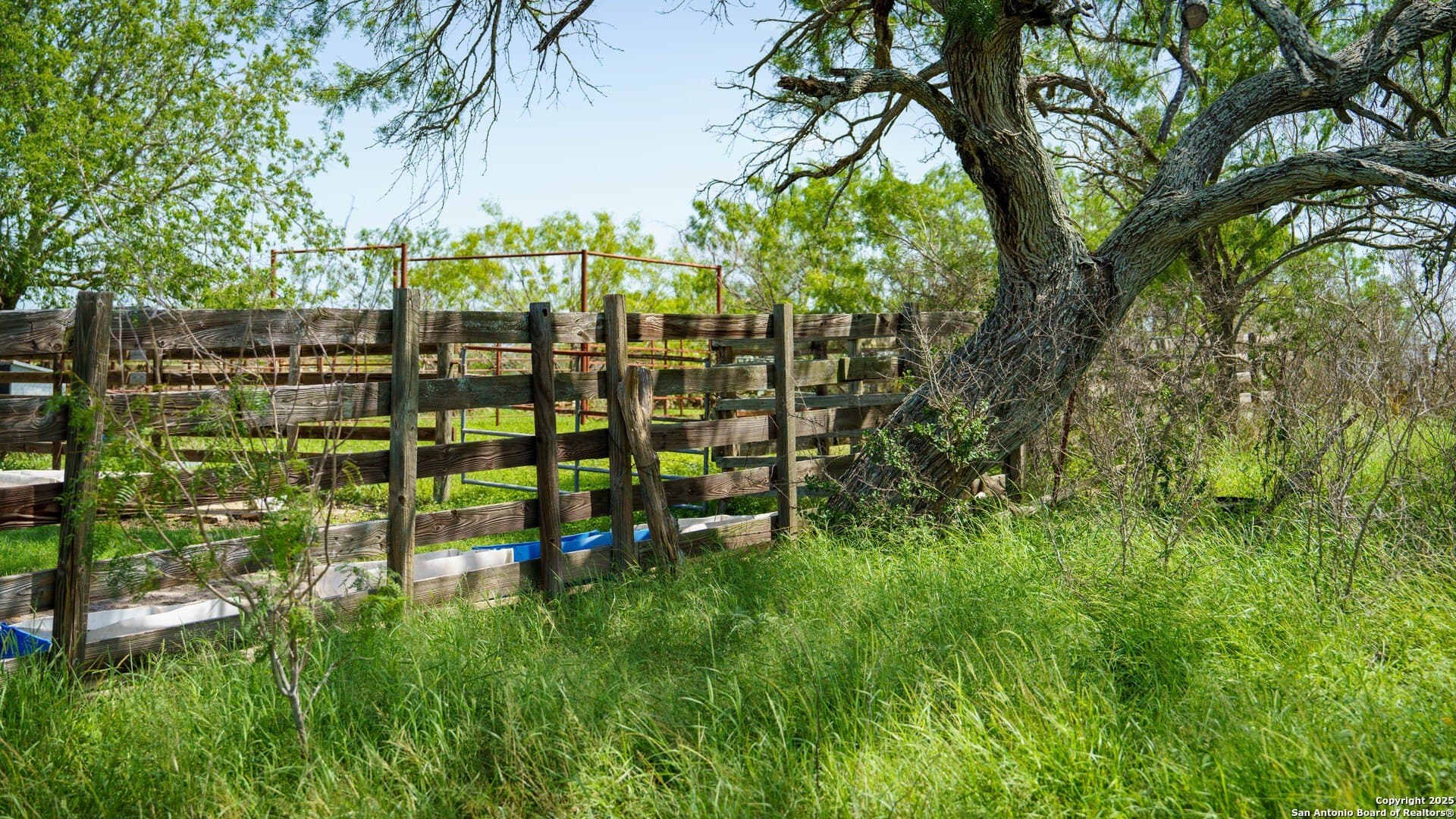 200.12 acres in Wilson County - photo 13