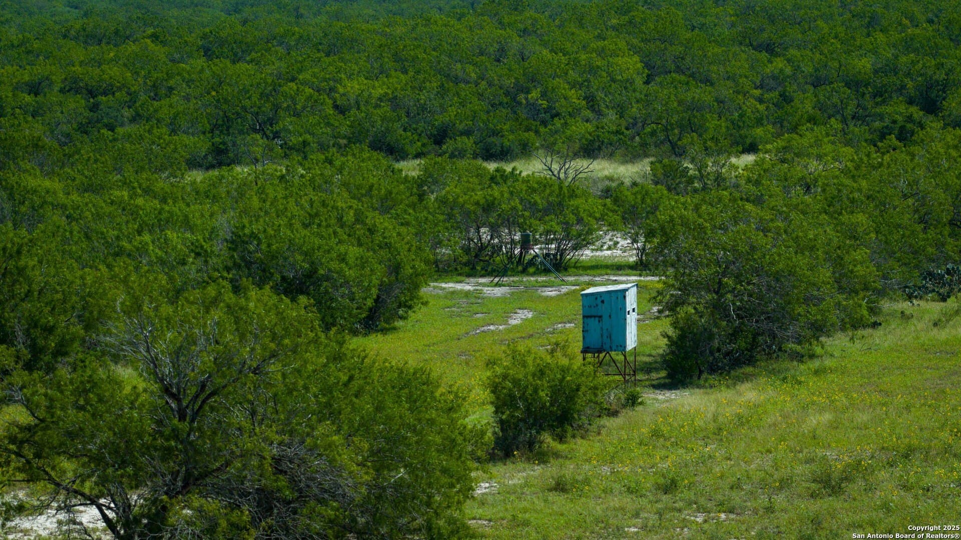 200.12 acres in Wilson County - photo 20
