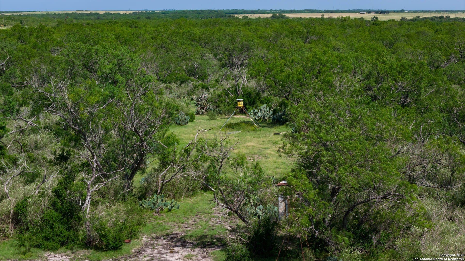 200.12 acres in Wilson County - photo 21
