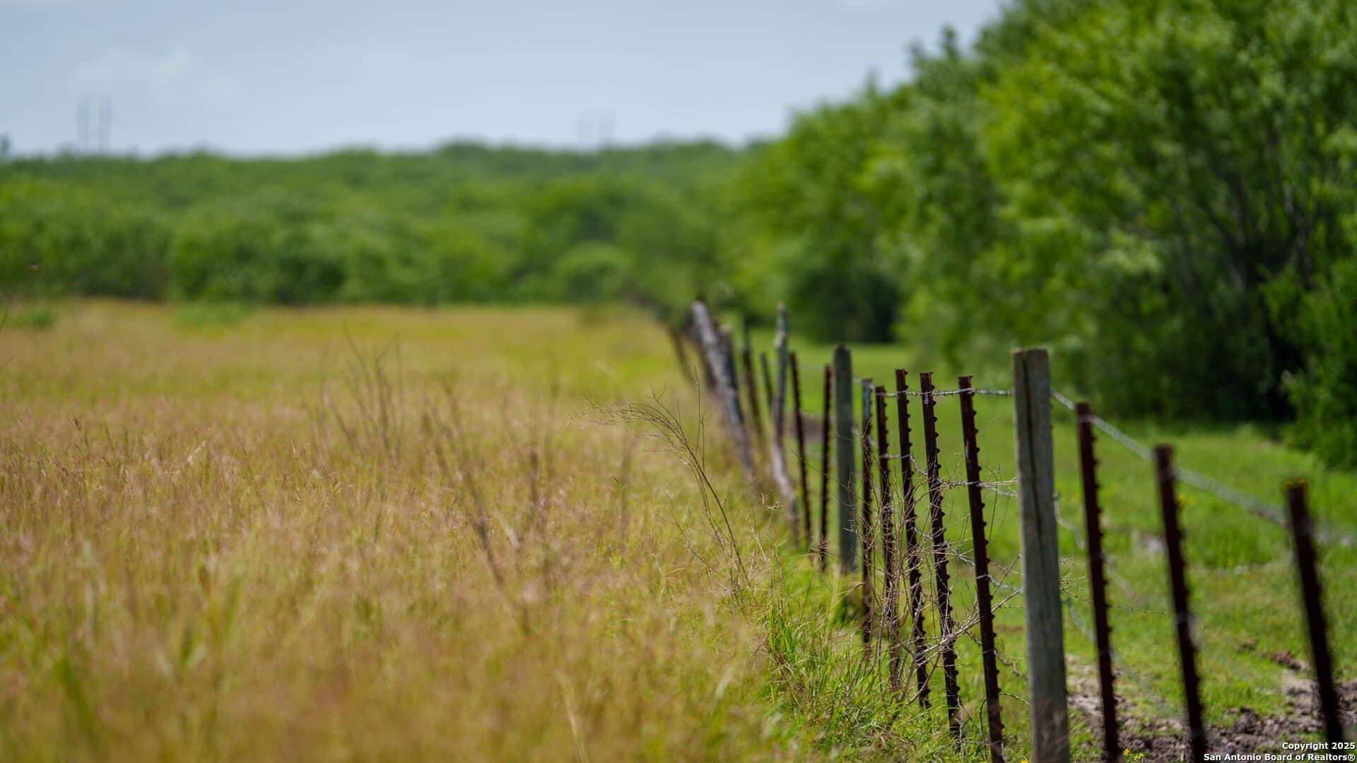 200.12 acres in Wilson County - photo 6