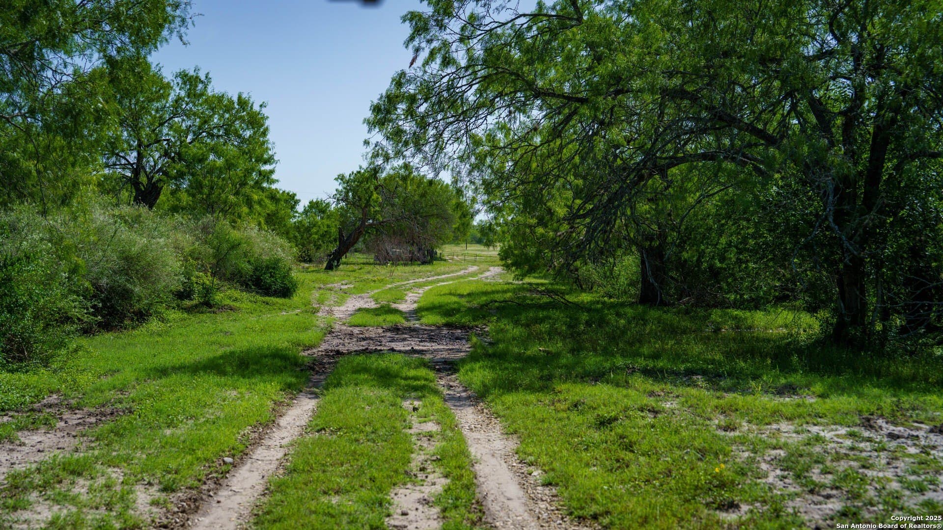 200.12 acres in Wilson County - photo 2
