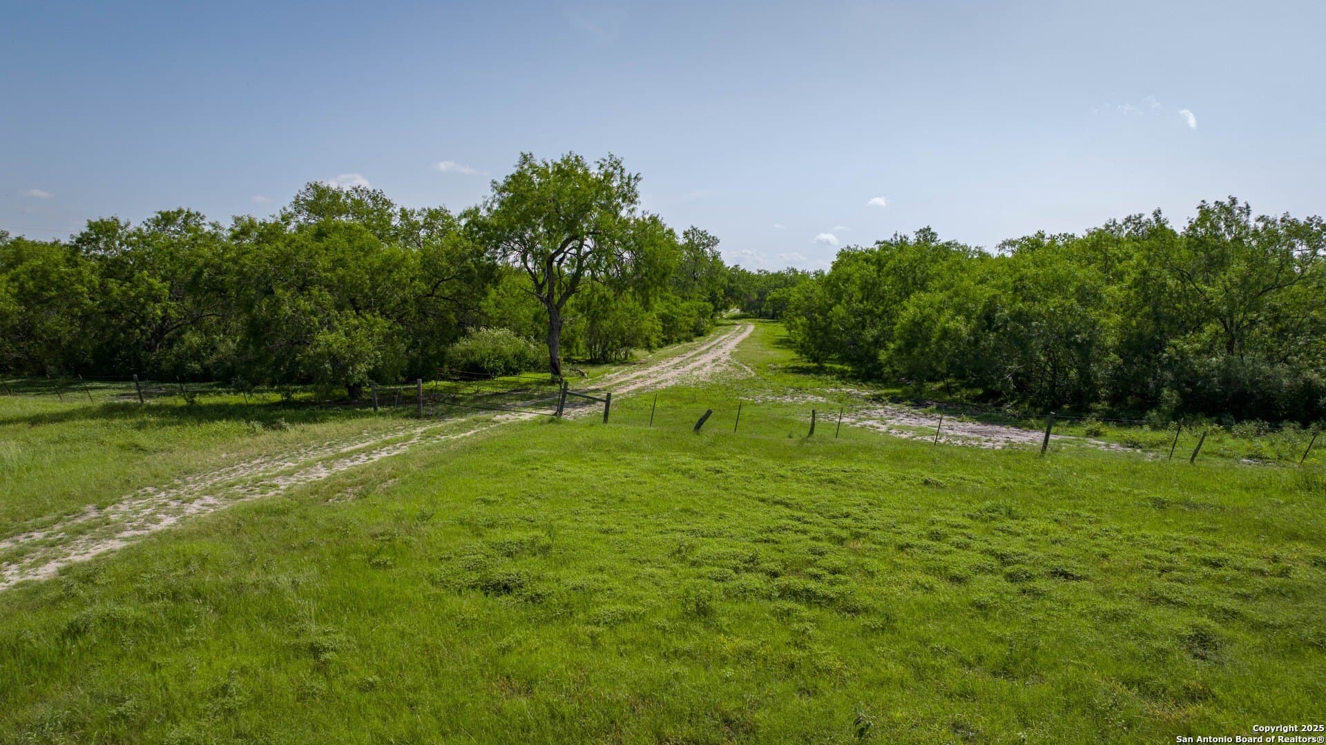 200.12 acres in Wilson County - photo 3