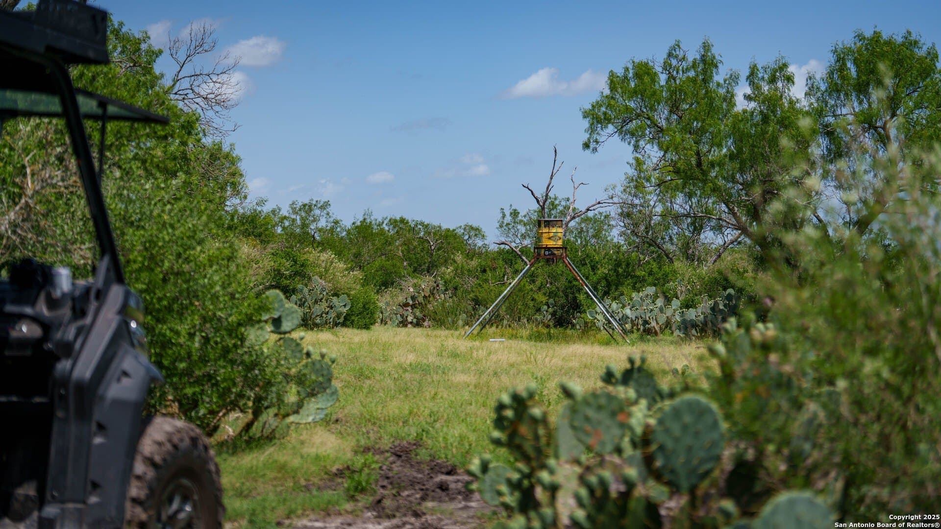 200.12 acres in Wilson County - photo 17