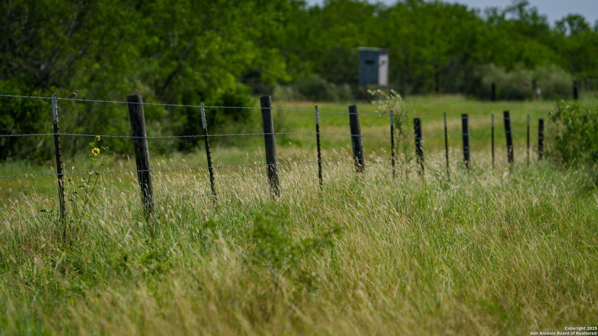 200.12 acres in Wilson County - photo 16