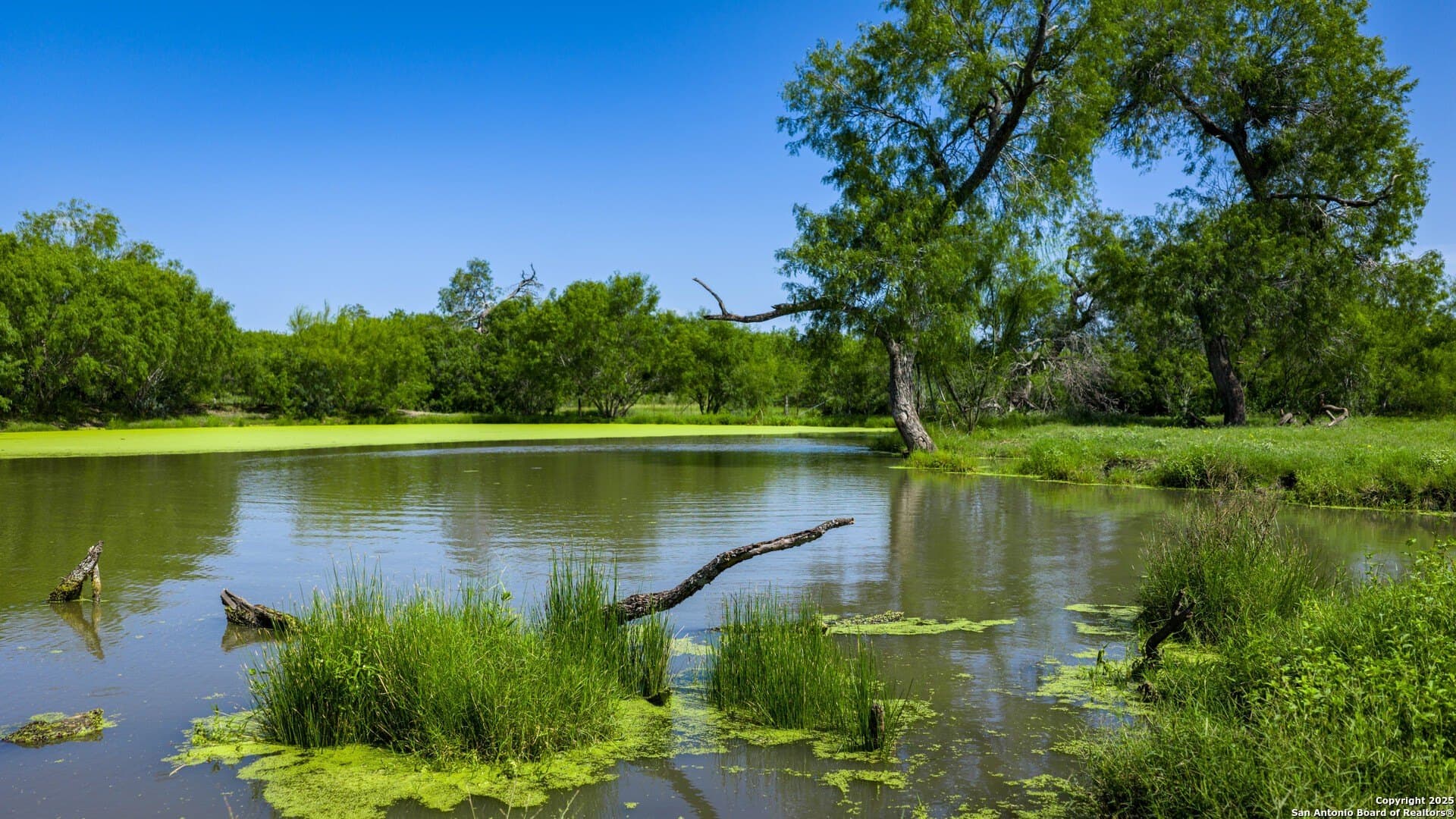 200.12 acres in Wilson County - photo 5